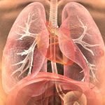 Coronavirus : cette méthode vous permet de déterminer si les poumons ont été guéris