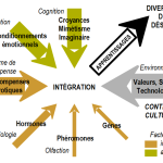 limportance-de-1.png.png