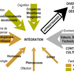 L'importance de la gestion des ressources humaines dans une entreprise : Quel est le rôle des RH ?